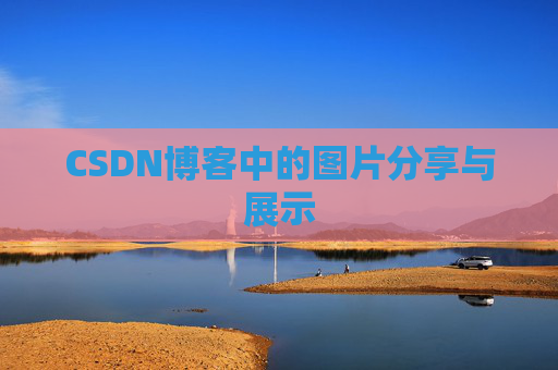 CSDN博客中的图片分享与展示